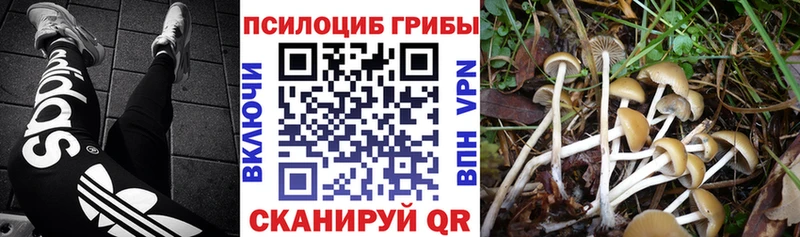 Псилоцибиновые грибы MAGIC MUSHROOMS  Сурск 
